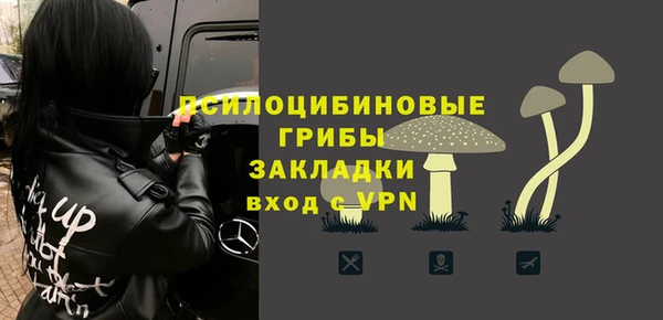 2c-b Белокуриха