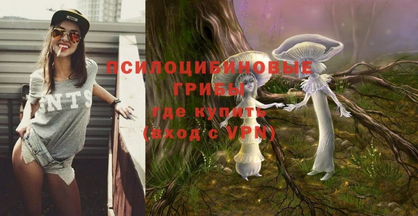 MDMA Premium VHQ Беломорск