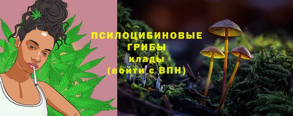 2c-b Белокуриха