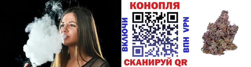 Марихуана сатива дарнет шоп Красноуфимск